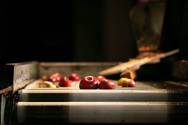 A variety of apples in a large crate
