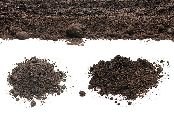 istock Black land for plant isolated on white background. 2254642254