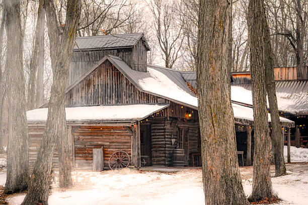 Traditional wooden sugar shack with snow-covered roofs and warm lights in a quiet winter forest setting