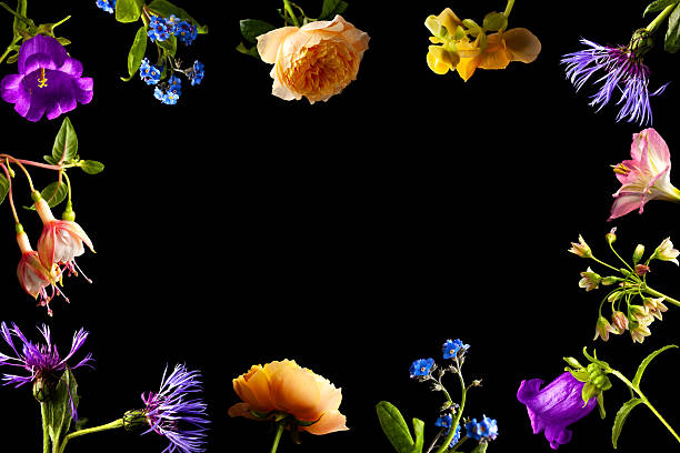 istock Colorful Floral Frame on Black Background Featuring Various Vibrant Flowers 2254645365