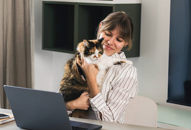istock Woman work holding cat beside laptop home 2254645586