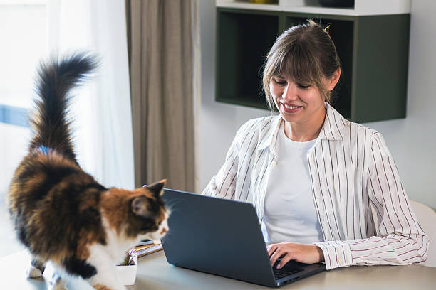 istock Cat walking near laptop while woman works 2254645588