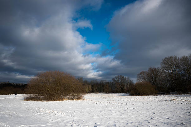 Winter landscape, snow in the fields and forest.