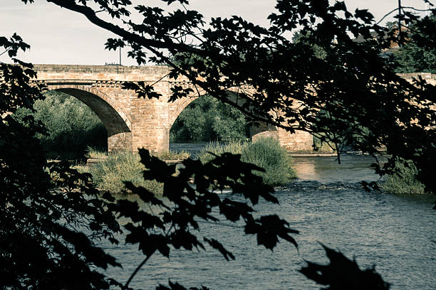 Brick bridge through the black natural lace of trees and leaves