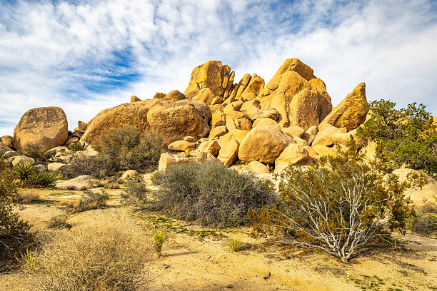 Rocky desert trail winds through sunlit boulder formations in the Hidden Valley area of Joshua Tree National Park California