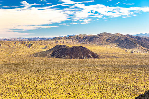 istock Joshua Tree National Park desert valley aerial view 2254648183