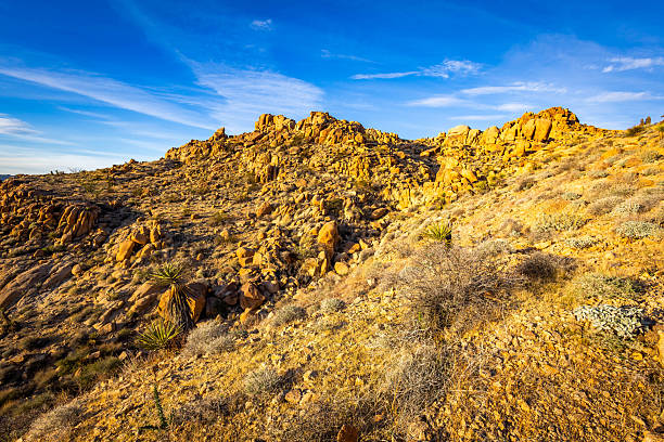 istock Joshua Tree National Park mountains at sunset Mastodon Peak 2254648935