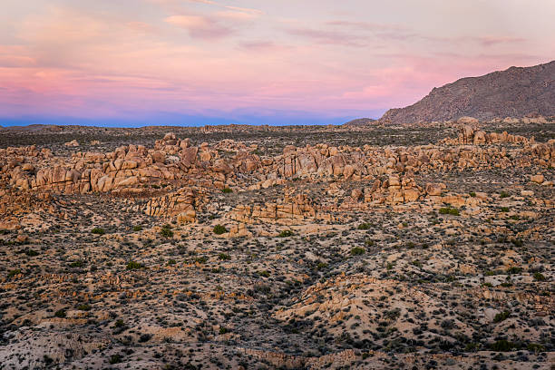 istock Joshua Tree National Park mountains at sunset Mastodon Peak 2254648968