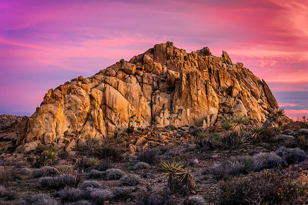 istock Joshua Tree National Park violet sunset Mastodon Peak 2254648989