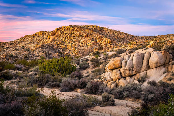 istock Joshua Tree National Park violet sunset Mastodon Peak 2254648993