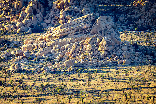Valley landscape with winding road stretches below Ryan Mountain Trail in Joshua Tree National Park California