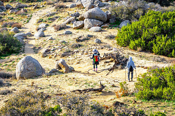 istock People hiking trail in Joshua Tree National Park 2254649464