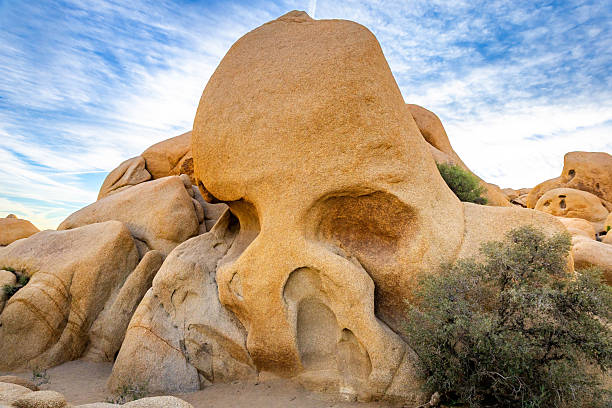 Skull Rock is illuminated by early sunrise light within Joshua Tree National Park desert California