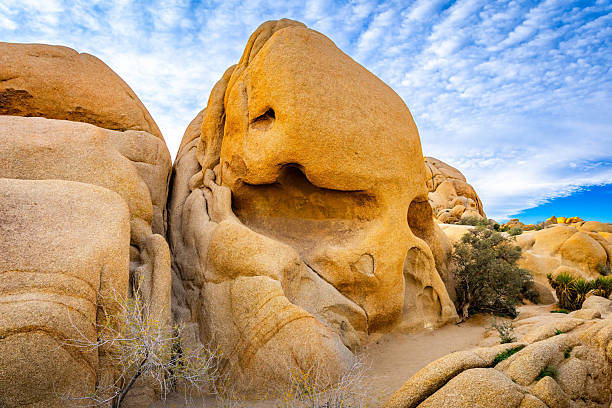 Skull Rock is illuminated by early sunrise light within Joshua Tree National Park desert California