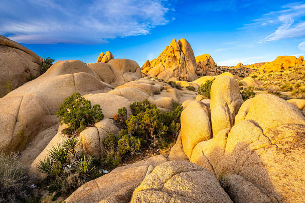 istock Rock formations at Skull Rock Trail sunrise 2254649554