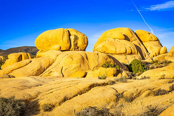 Rock formations are illuminated by morning sunlight along Skull Rock Trail in Joshua Tree National Park California