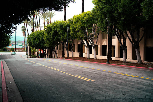 istock Empty street lined with trees and palm trees leading to a modern building 2254651201