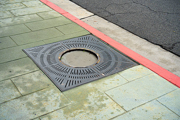 A square metal tree grate with a circular opening is set into a green tiled sidewalk next to a red painted curb and a cracked asphalt road