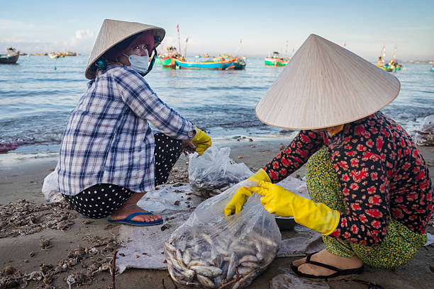Vietnamese women sorting fresh catch at the beach, fishing village, Mui Ne, Vietnam. Fishermen's boats on the background.