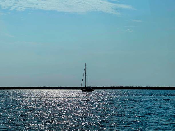 People sailing on Kralingse Lake