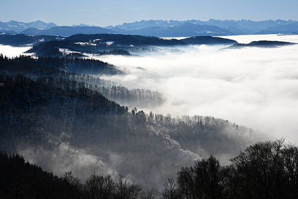 Several Hills in Switzerland (Canton Zurich) in fog. Seen from the Uetliberg hill and captured during sinter season.