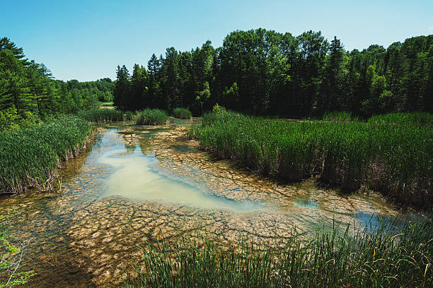 A wetland high in gypsum content.