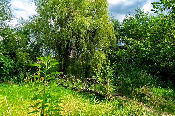 Landscape painting showing wooden bridge leading through the forest.