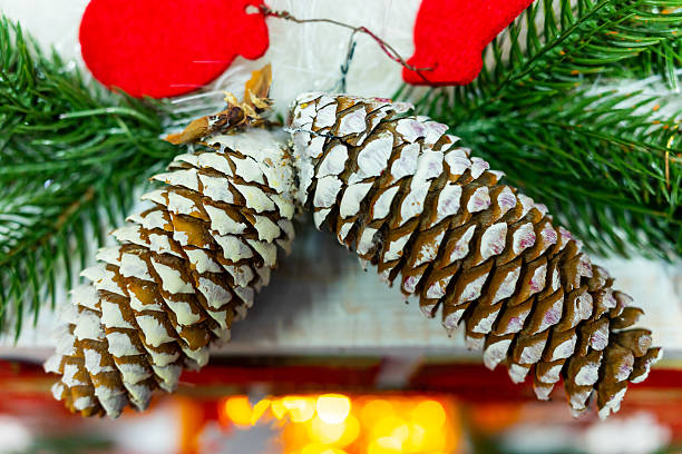 New Year's decoration from two pine cones and Christmas tree branches.