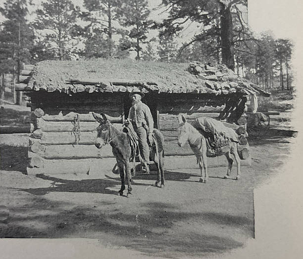 Antique illustration pre 1900 - men with pack mules on the way to the Grand Canyon