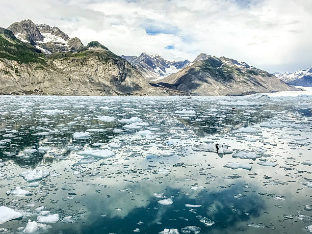 Scenic view of Prince William Sound near Valdez, Alaska, featuring the Chugach Mountains rising above calm waters dotted with floating glacial ice. The mountains are reflected in the surface of the sound, creating a peaceful and awe-inspiring landscape that highlights Alaska’s pristine wilderness and natural beauty.