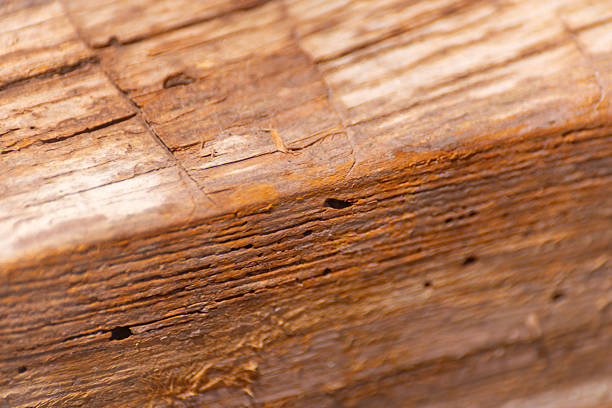 The wood grain is rough and uneven. The wood is brown and has a natural texture. The grain is visible in the wood, giving it a rustic appearance