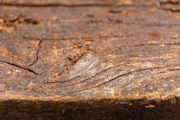 The wood grain is rough and uneven. The wood is brown and has a natural texture. The grain is visible in the wood, giving it a rustic appearance