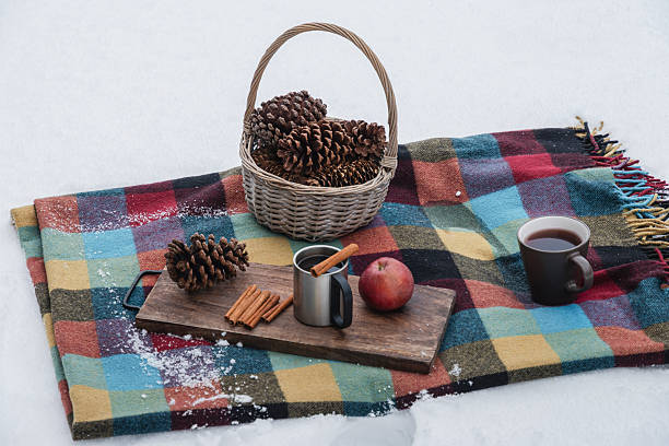 Colorful winter picnic scene with checkered blanket on snow, basket of pine cones, apple, cinnamon and stainless mug with hot drink, symbolizing outdoor winter leisure and warmth.