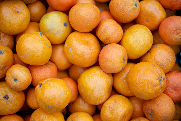 A vibrant close-up of fresh oranges and mandarins piled together, showcasing their glossy skins and natural imperfections. The mix of warm orange and yellow tones creates a lively and appetizing market scene, emphasizing freshness and organic texture.