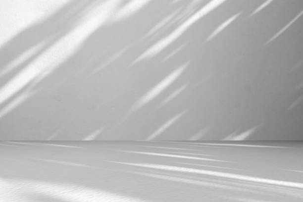 istock Minimalist white wall and floor background with natural leaf shadows for product presentation mockup 2254671293