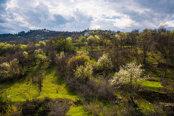 Beautiful nature landscape in spring. Aerial view of rolling mountains with blooming woodlands and green pastures, bathed in soft sunlight. Sustainable lifestyle.