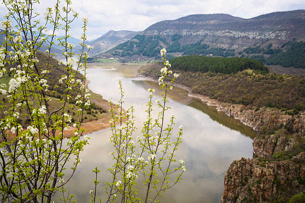 Springtime freshness of blooming trees at winding mountain water dam lit by soft sun in rolling landscape. Environment, water conservation & biodiversity.