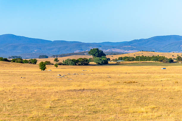 istock Dry Summer Countryside in the Southern Tablelands 2254673133