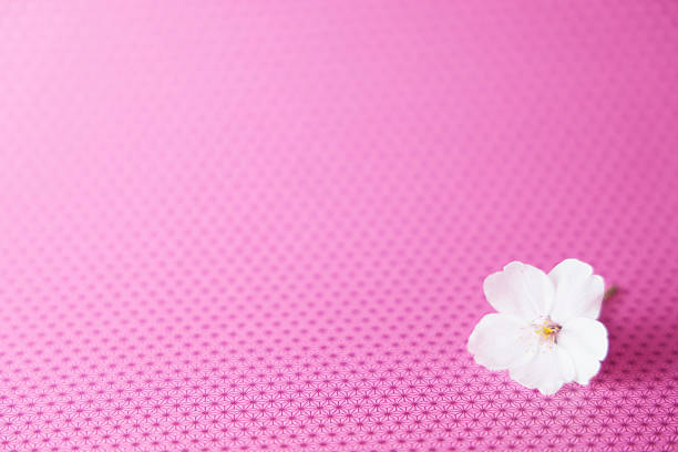 Spring concept.