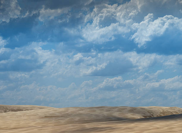 Stockton Bight Sand Dunes, the largest moving coastal dunes in the Southern Hemisphere. Covering 4200 hectares, 1800 being forest. The dunes themselves span 32kms, reach heights of over 30 metres and slopes of up to 60 degrees. Worimi Conservation Lands in Port Stephens, Sydney, Australia.