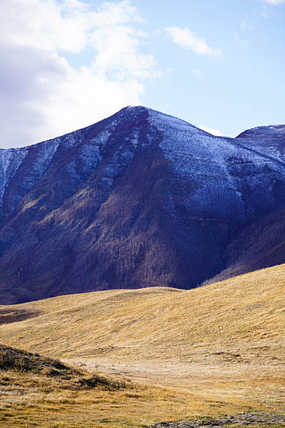 Photos of scenery and wildlife in Waterton National Park, Alberta, Canada.