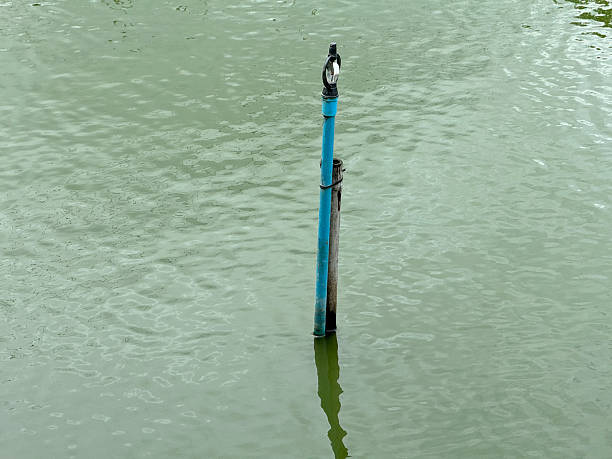 close up sprinkler on the pond