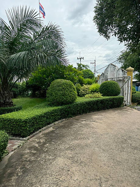 close up nature garden near road