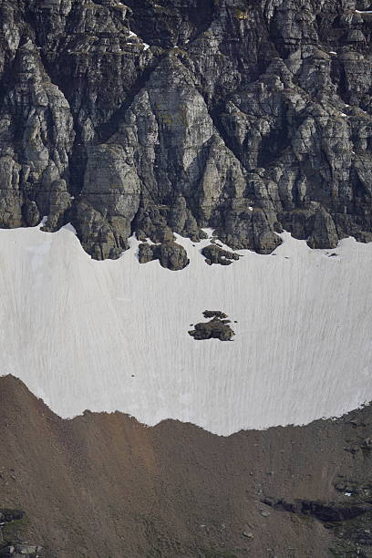 Different scenes in Glacier National Park, including mountains, views, Mountain goats