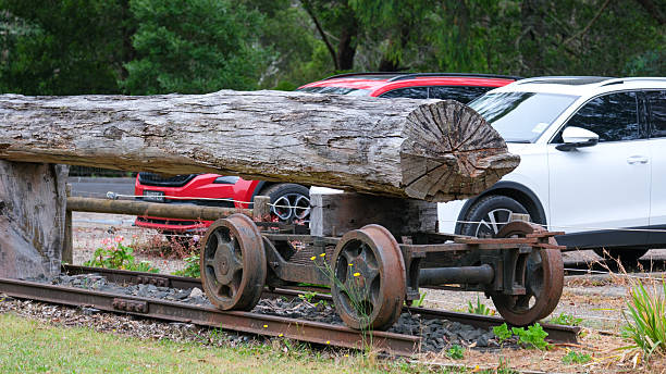 A massive timber log loaded onto a vintage iron rail bogie, representing the local logging history of Noojee.