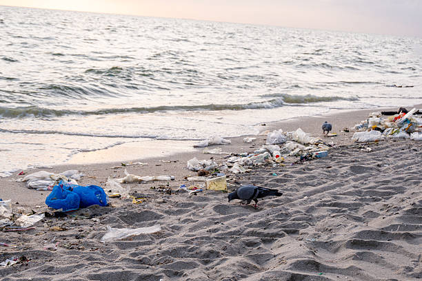 istock Dirty sea sandy shore ,Environmental pollution,Plastic water bottles pollution in ocean (Marine debris) 2254693711