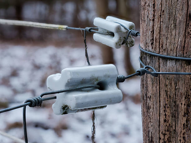 electric fence, horses, farmer, agriculture, pasture fence, paddock,
