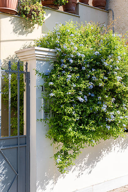 istock Architecture of Old Athens area Plaka 2254710638