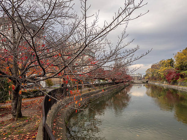istock Japanese popular locations 2254710871