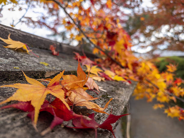 istock Japanese popular locations 2254710988
